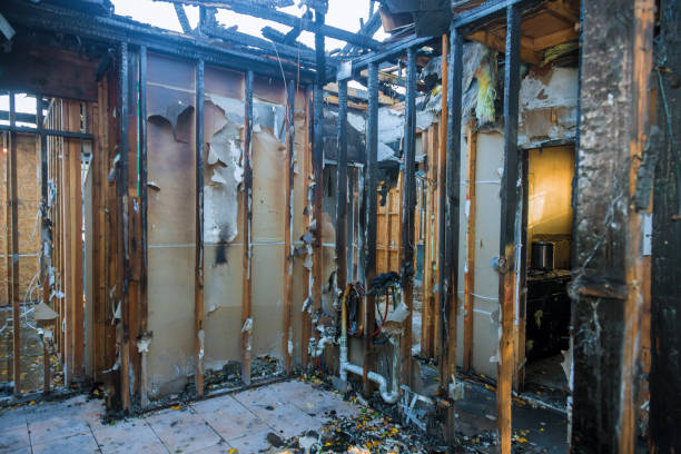 Professional Soot Cleanup technician working in Washington Grove, MD